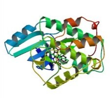protein_cdk2_280_226